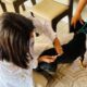 Proteja Seu Pet - Campanha de Vacinação Antirrábica em Salto