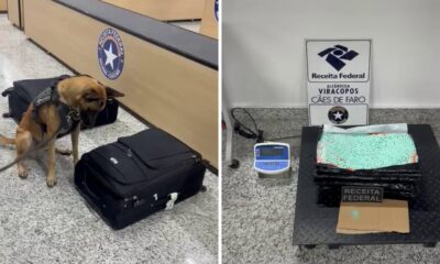 Tráfico de Drogas - Apreensão Recorde de 15kg de Entorpecentes no Aeroporto de Viracopos