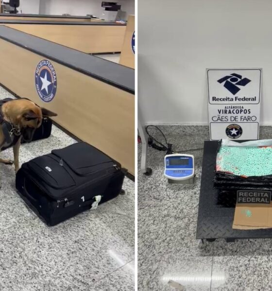 Tráfico de Drogas - Apreensão Recorde de 15kg de Entorpecentes no Aeroporto de Viracopos