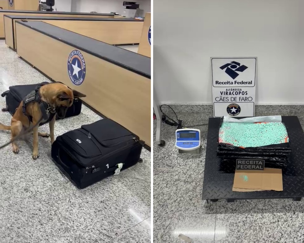 Tráfico de Drogas - Apreensão Recorde de 15kg de Entorpecentes no Aeroporto de Viracopos