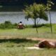ALERTA DE CALOR O S o Paulo Registra Temperaturas Extremas Entre 35 e 40 Graus Saiba Como se Proteger