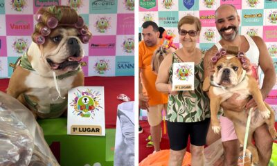 Buldogue Jussara Brilha no Carnaval e Conquista Terceiro T tulo de Fantasia A Estrela de Quatro Patas que Encantou Juiz de Fora