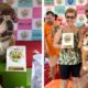 Buldogue Jussara Brilha no Carnaval e Conquista Terceiro T tulo de Fantasia A Estrela de Quatro Patas que Encantou Juiz de Fora