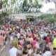 Carnaval 2025 em Campinas A Folia Est de Volta Confira a Programa o Completa e N o Fique Fora Dessa Explos o de Alegria