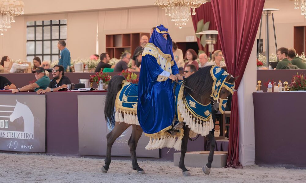 Cavalos rabes Como um Evento de 2 Milh es de D lares Est Impulsionando a Economia Brasileira