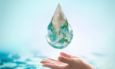Como a BASF Est Revolucionando o Uso Sustent vel da gua no Varejo Marcenaria e Design