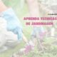 Curso Gratuito de Jardinagem em Indaiatuba Tudo o Que Voc Precisa Saber