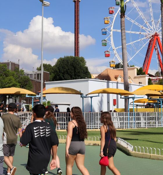 Hopi Hari Confira as Promo es Imperd veis para Fevereiro e Mar o e Economize na Sua Visita