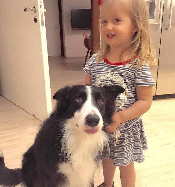Luciano Huck Lamenta Morte de Ziggy: A Dor da Perda de um Companheiro de Quatro Patas 16 Luciano Huck Lamenta Morte de Ziggy A Dor da Perda de um Companheiro de Quatro Patas