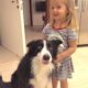 Luciano Huck Lamenta Morte de Ziggy A Dor da Perda de um Companheiro de Quatro Patas