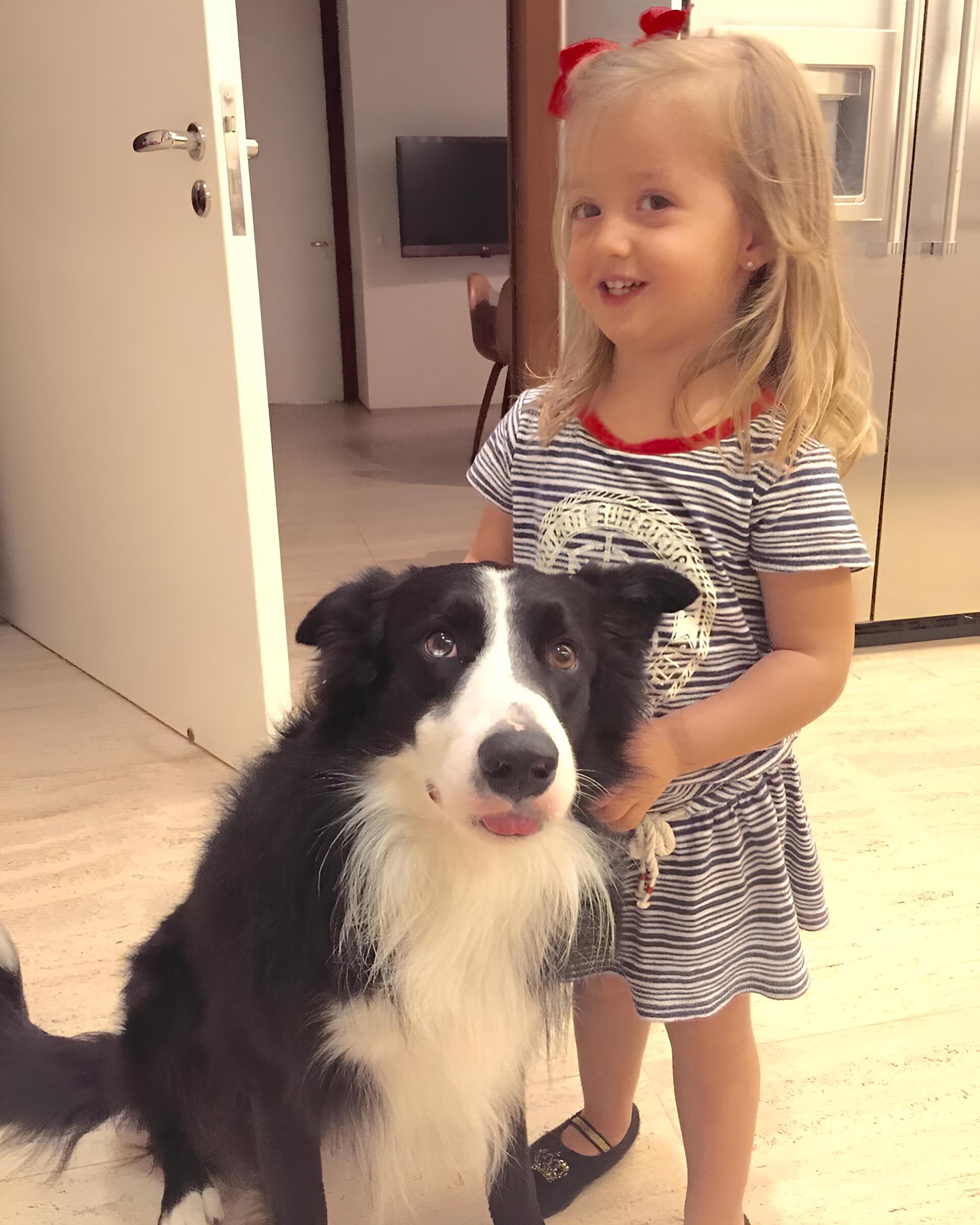 Luciano Huck Lamenta Morte de Ziggy: A Dor da Perda de um Companheiro de Quatro Patas 15 Luciano Huck Lamenta Morte de Ziggy A Dor da Perda de um Companheiro de Quatro Patas