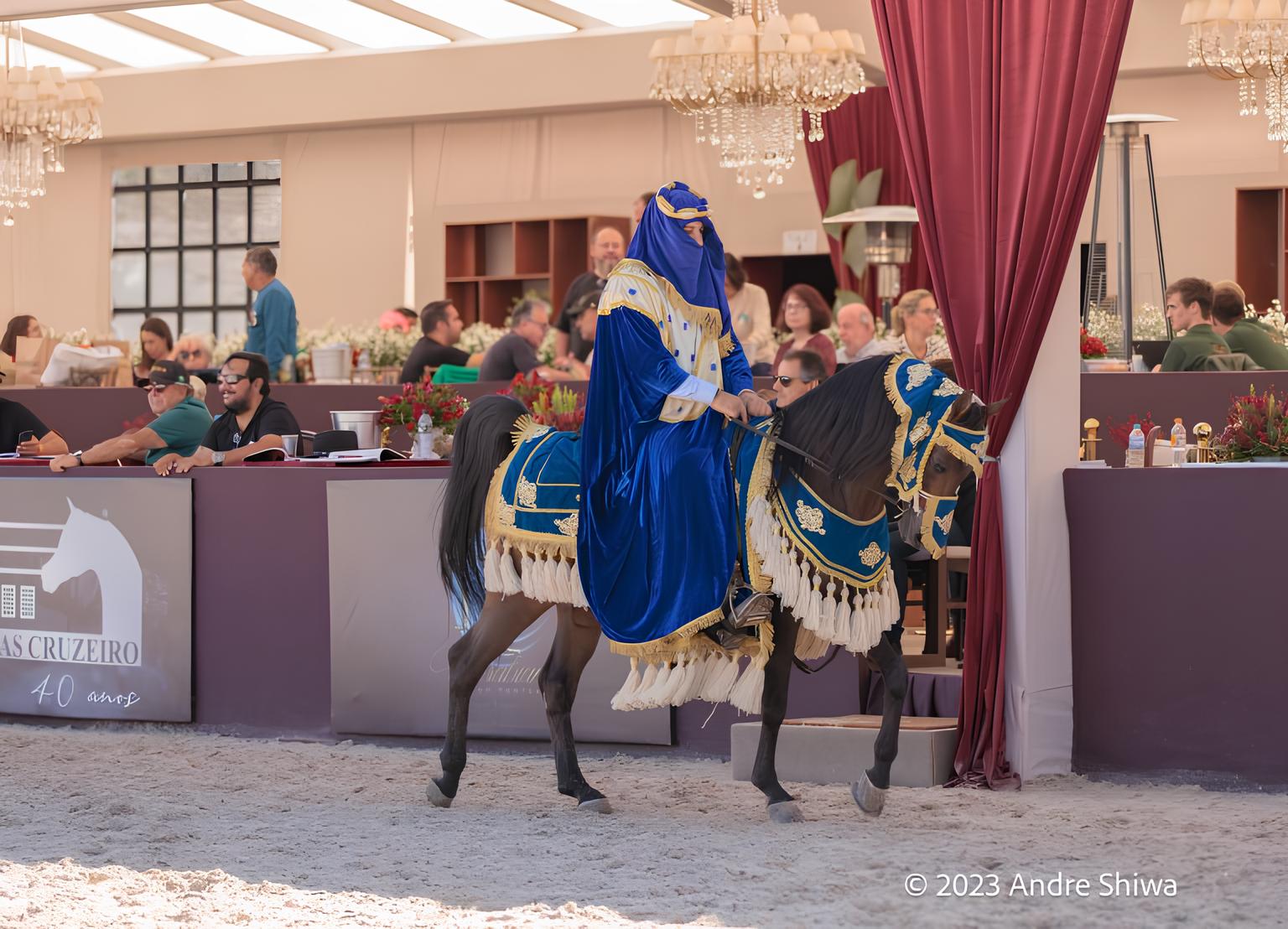 O Impacto Econômico e Cultural do 43º Campeonato Nacional de Cavalos Árabes no Brasil 15 O Impacto Econ mico e Cultural do 43 Campeonato Nacional de Cavalos rabes no Brasil
