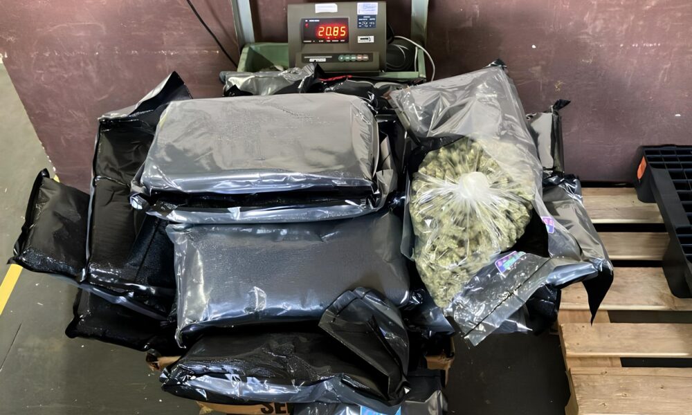 Opera o Antidrogas em Viracopos Apreens o de 110 kg de Entorpecentes Chama a Aten o para o Combate ao Tr fico Internacional