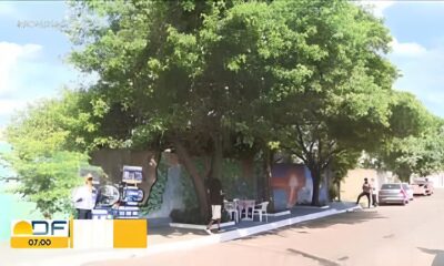 Pol cia Federal Apreende Cavalos de R 3 Milh es em Indaiatuba Entenda o Caso