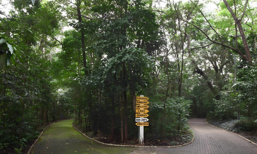 Tr gua nas Chuvas Parques de Campinas Reabrem e a Cidade Respira Al vio