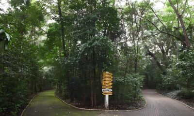 Tr gua nas Chuvas Parques de Campinas Reabrem e a Cidade Respira Al vio