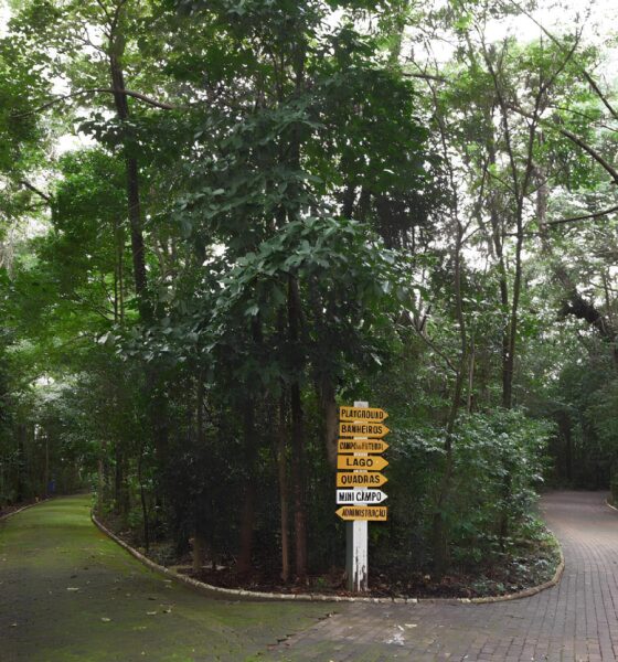 Trégua nas Chuvas: Parques de Campinas Reabrem e a Cidade Respira Alívio! 16 Tr gua nas Chuvas Parques de Campinas Reabrem e a Cidade Respira Al vio