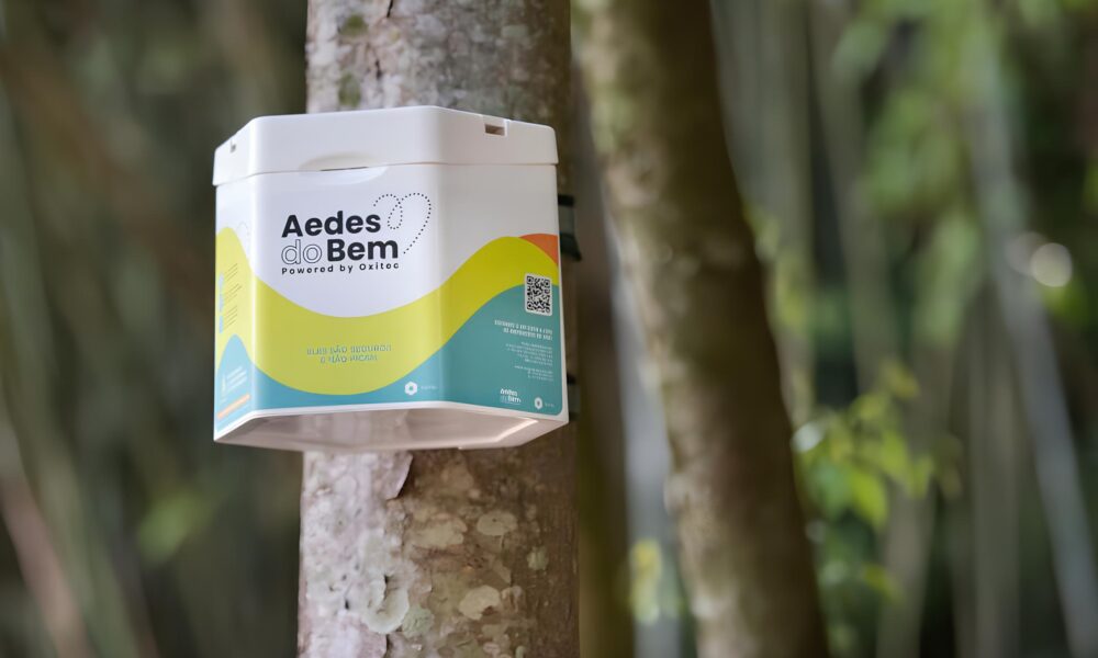 Voc N o Vai Acreditar no Que Esses Mosquitos Geneticamente Modificados Fizeram