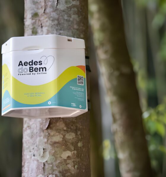 Você Não Vai Acreditar no Que Esses Mosquitos Geneticamente Modificados Fizeram! 16 Voc N o Vai Acreditar no Que Esses Mosquitos Geneticamente Modificados Fizeram