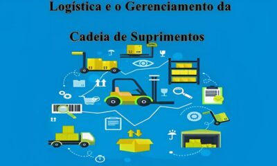 A Batalha Pelo Futuro da Cadeia de Suprimentos Como um Executivo pode Transformar uma Empresa de Mat rias Primas em Campinas