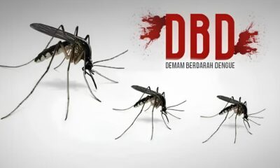 A Epidemia Silenciosa Como a Dengue Est Assolando Tr s Cidades do Interior de S o Paulo