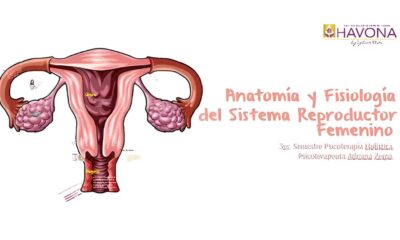 A Oportunidade Que Pode Transformar Sua Carreira em TI Analista de Sistemas Protheus na Ultradent do Brasil