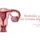 A Oportunidade Que Pode Transformar Sua Carreira em TI Analista de Sistemas Protheus na Ultradent do Brasil