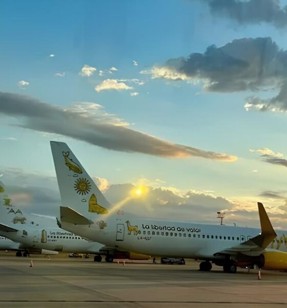 A Oportunidade dos Céus: Como o Cargo de Senior Accounting Analyst na Avion Express Pode Decolar Sua Carreira 16 A Oportunidade dos C us Como o Cargo de Senior Accounting Analyst na Avion Express Pode Decolar Sua Carreira