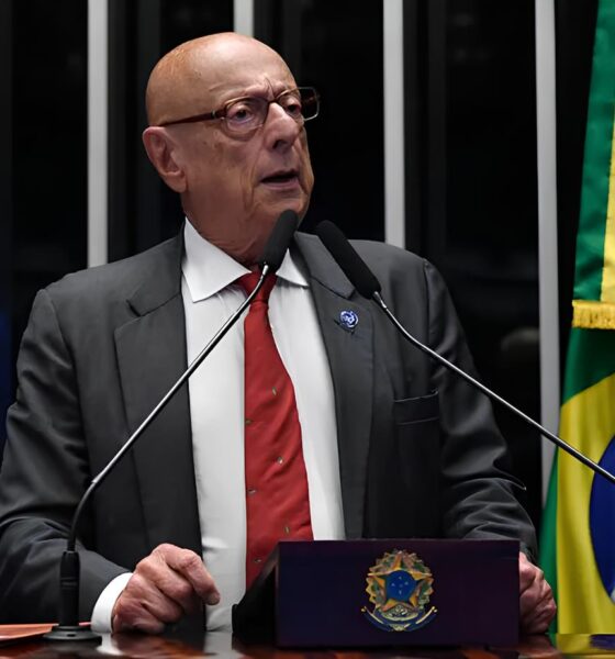 A Polêmica em Torno da Pesca Artesanal da Tainha e os Impactos Econômicos em Santa Catarina 16 A Pol mica em Torno da Pesca Artesanal da Tainha e os Impactos Econ micos em Santa Catarina