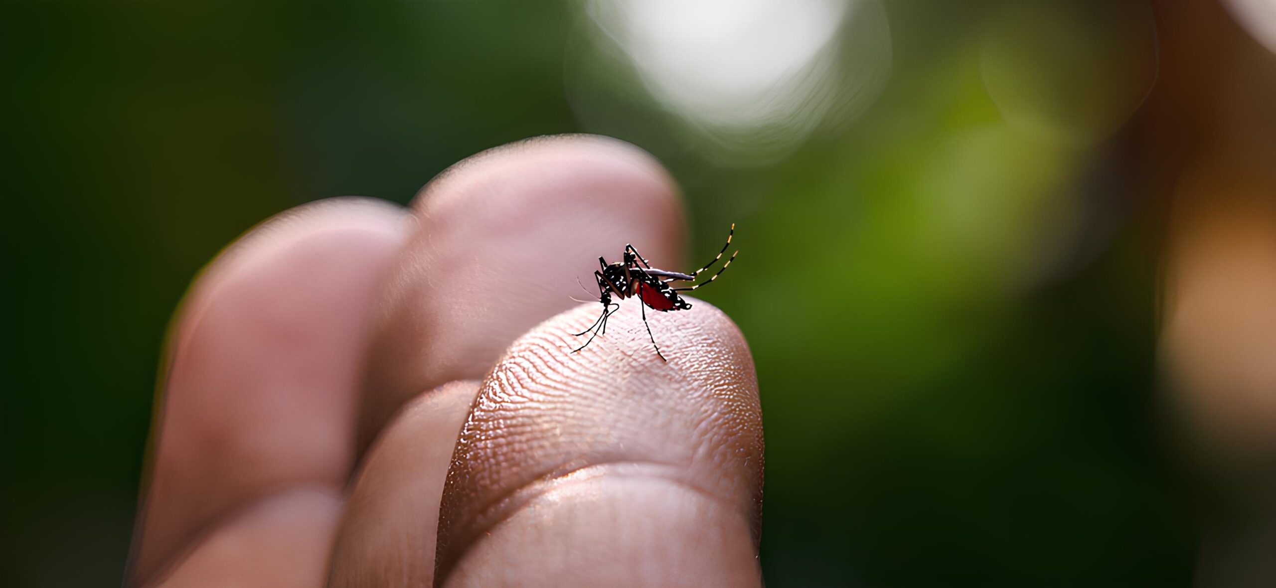 A Sombra da Dengue: Como Indaiatuba Luta Contra uma Epidemia Silenciosa em 2025 15 A Sombra da Dengue Como Indaiatuba Luta Contra uma Epidemia Silenciosa em 2025 scaled