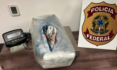 A Super Maconha e o Caso que Abalou Viracopos Uma Hist ria de Tr fico Fiscaliza o e Justi a