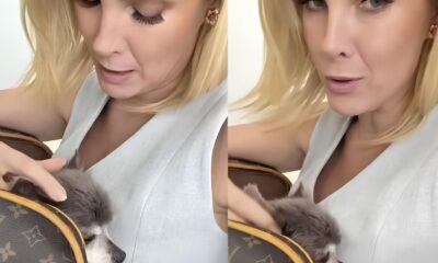 Ana Hickmann Desabafa Ap s Susto com Interna o de Pet O Que Aprendemos Sobre o Amor Incondicional e os Cuidados com Animais Idosos
