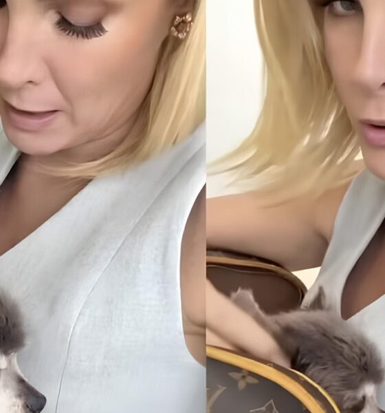 Ana Hickmann Desabafa Ap s Susto com Interna o de Pet O Que Aprendemos Sobre o Amor Incondicional e os Cuidados com Animais Idosos