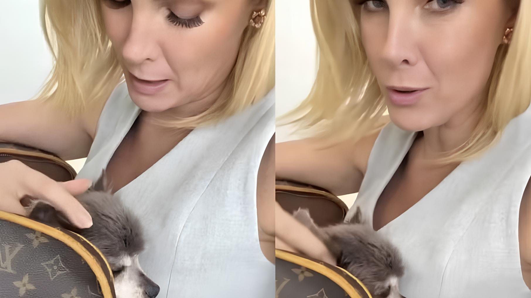 Ana Hickmann Desabafa Ap s Susto com Interna o de Pet O Que Aprendemos Sobre o Amor Incondicional e os Cuidados com Animais Idosos