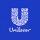 Analista de Manuten o na Unilever Tudo o Que Voc Precisa Saber Sobre Esta Oportunidade nica