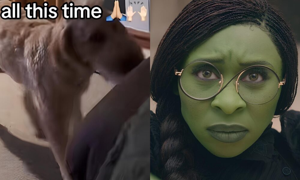 C o Encanta a Web ao Cantar Defying Gravity de Wicked A Hist ria Viral que Conquistou Cora es