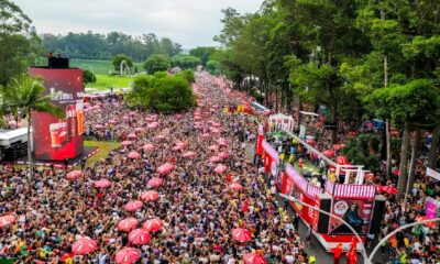 Carnaval de S o Paulo Um Impulso Econ mico de R 6 7 Bilh es e Celebra o Democr tica