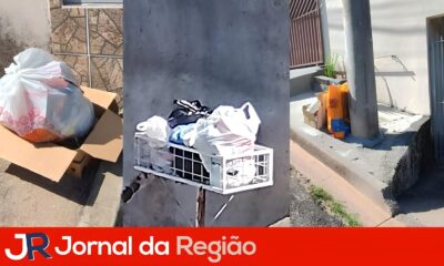 Coleta Seletiva em Jundia O Que Est Acontecendo e Como Resolver