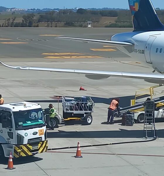 Como Viracopos Está Revolucionando a Sustentabilidade no Setor Aeroportuário: A História de 110 Toneladas de CO2 Evitadas 19 Como Viracopos Est Revolucionando a Sustentabilidade no Setor Aeroportu rio A Hist ria de 110 Toneladas de CO2 Evitadas