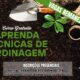 Descubra Como Transformar Sua Paix o por Plantas em uma Oportunidade nica Inscri es Abertas para Curso Gratuito de Jardinagem