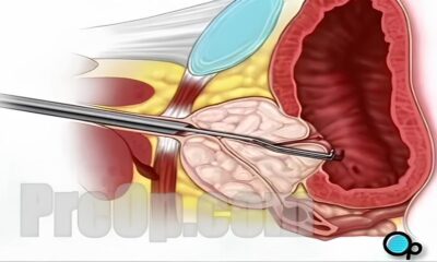 Descubra Como o Est gio em Bioprospec o da Agrivalle Pode Ser o Seu Primeiro Passo Rumo ao Futuro