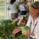 Descubra o Melhor do Carnaval 2025 Eventos Cultura e Gastronomia para Todos os Estilos