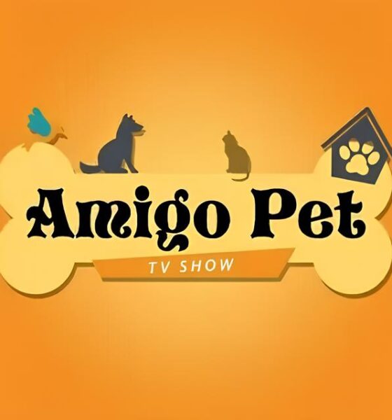 Do Abandono ao Lar: Como o Programa Amigo Pet Está Transformando Vidas em Indaiatuba 16 Do Abandono ao Lar Como o Programa Amigo Pet Est Transformando Vidas em Indaiatuba