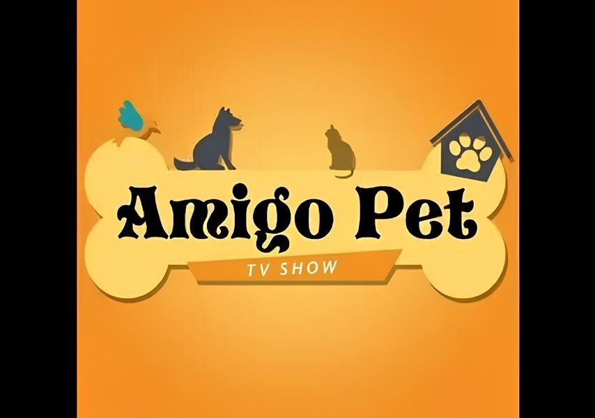 Do Abandono ao Lar Como o Programa Amigo Pet Est Transformando Vidas em Indaiatuba