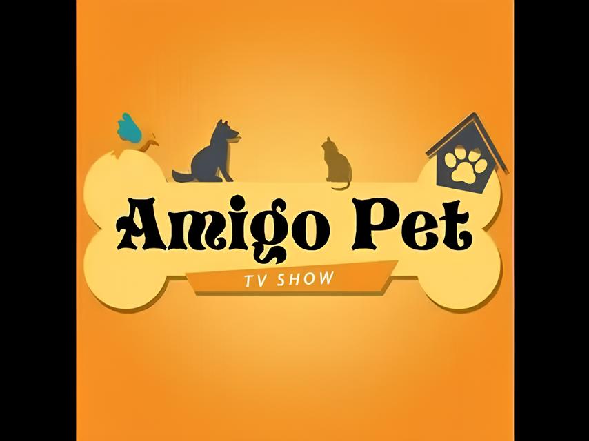 Do Abandono ao Lar: Como o Programa Amigo Pet Está Transformando Vidas em Indaiatuba 15 Do Abandono ao Lar Como o Programa Amigo Pet Est Transformando Vidas em Indaiatuba
