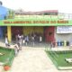 Domingo Ecol gico 2025 Um Convite Sustentabilidade e Conex o com a Natureza