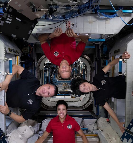 Falta de Microrganismos no Espaço: Como Isso Pode Prejudicar a Imunidade dos Astronautas 16 Falta de Microrganismos no Espa o Como Isso Pode Prejudicar a Imunidade dos Astronautas