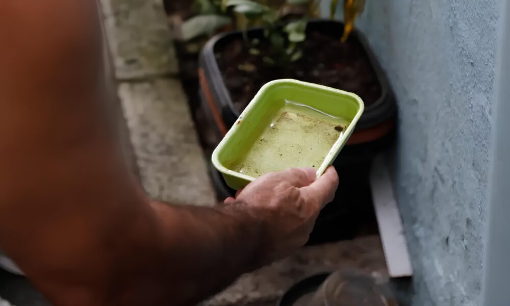 LTIMAS NOT CIAS CAMPINAS E REGI O O ALERTA SOBRE A DENGUE EM INDAIATUBA