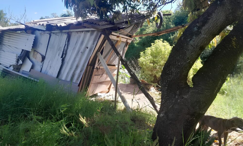 LTIMAS NOT CIAS IDOSO VALENT O PRESO POR MAUS TRATOS CONTRA CACHORRO EM RIO CLARO ENTENDA O CASO