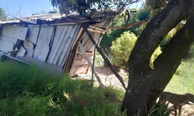 LTIMAS NOT CIAS IDOSO VALENT O PRESO POR MAUS TRATOS CONTRA CACHORRO EM RIO CLARO ENTENDA O CASO